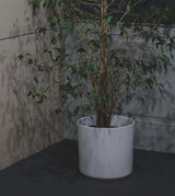 Ceramic Planter