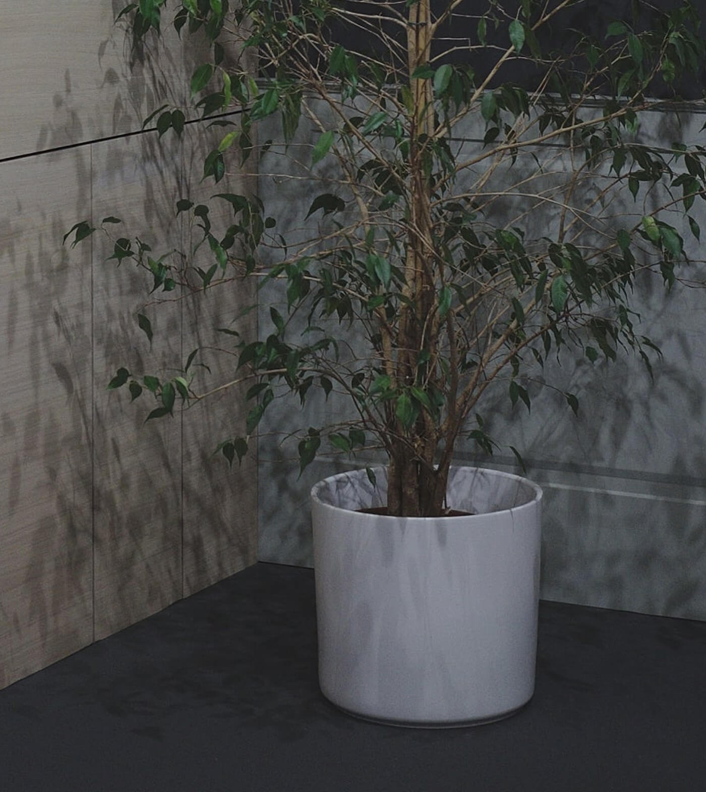 Ceramic Planter